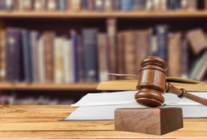 Vea las recomendaciones de los expertos de OCU Fincas y Casas.